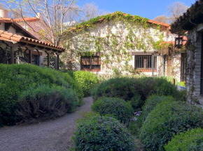 A small cottage in the city
